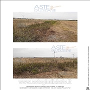 Foto-PI-EI-236-2022-1.jpg